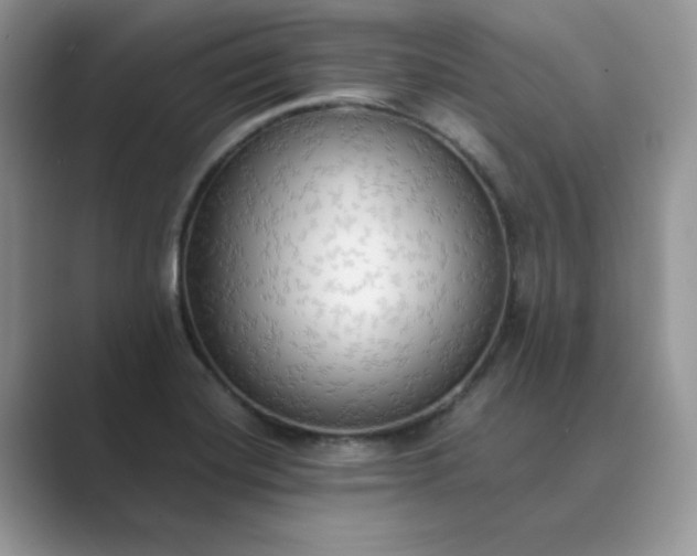 X0000089671420200707051540