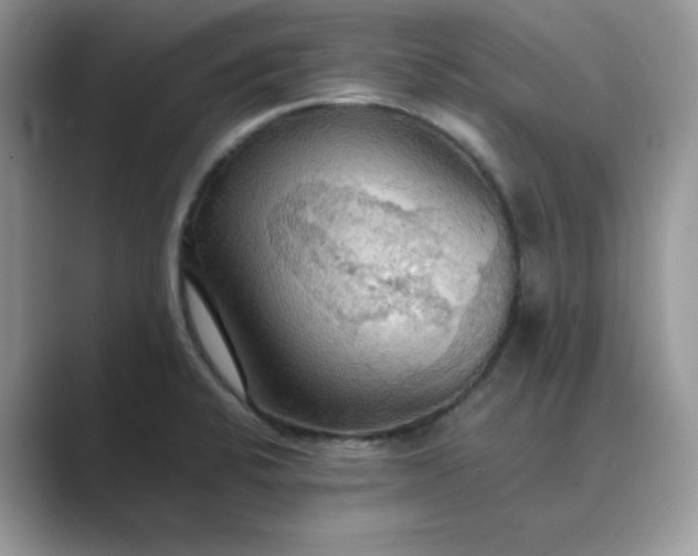 X0000089671424200707051540