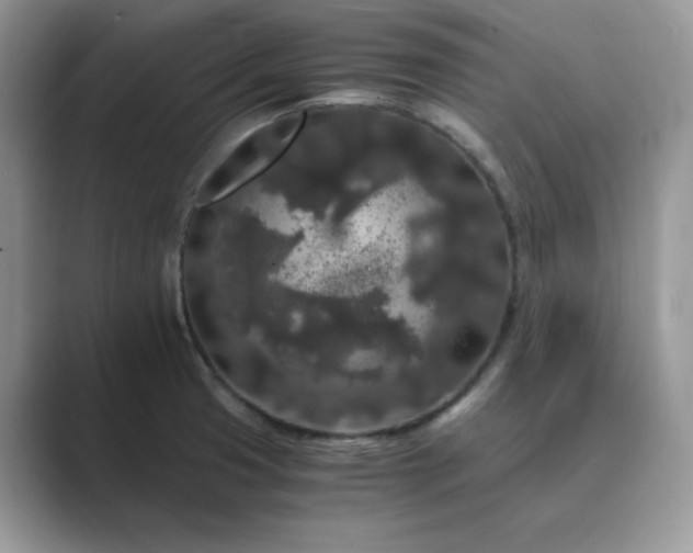 X0000089671425200707051540
