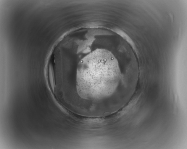 X0000089671429200707051540