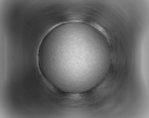 X0000089671431200707051540