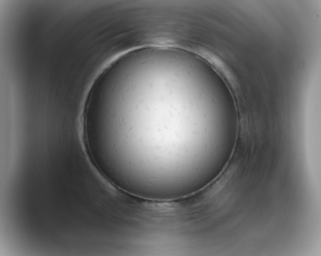 X0000089671432200707051540