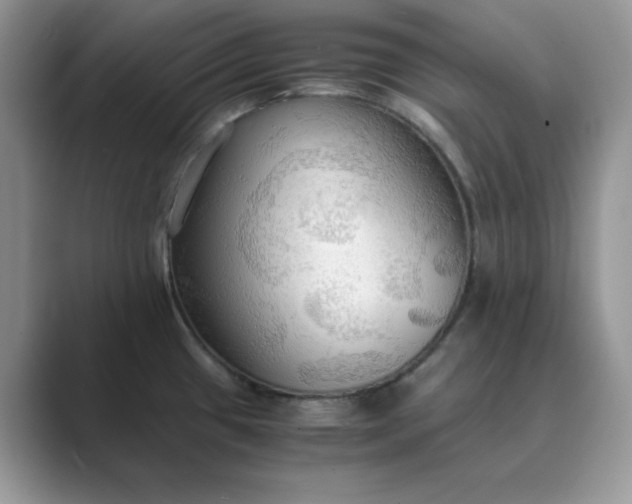 X0000089671433200707051540
