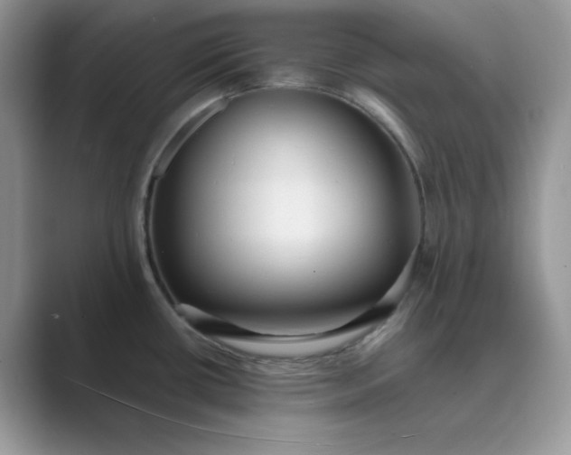 X0000089671434200707051540