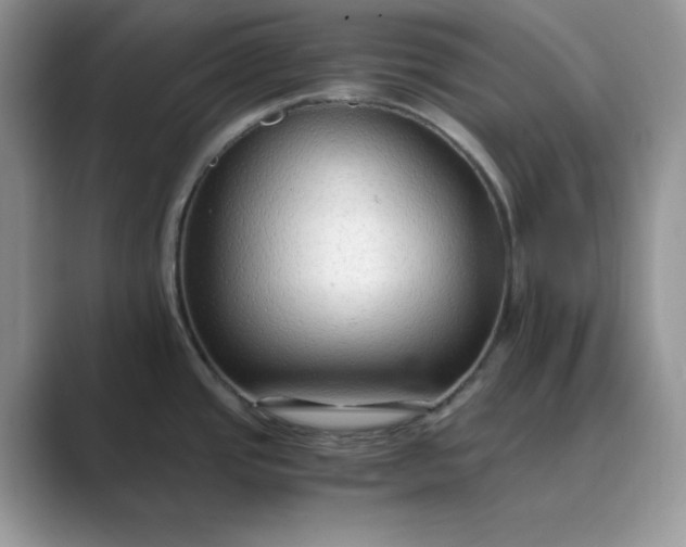 X0000089671437200707051540