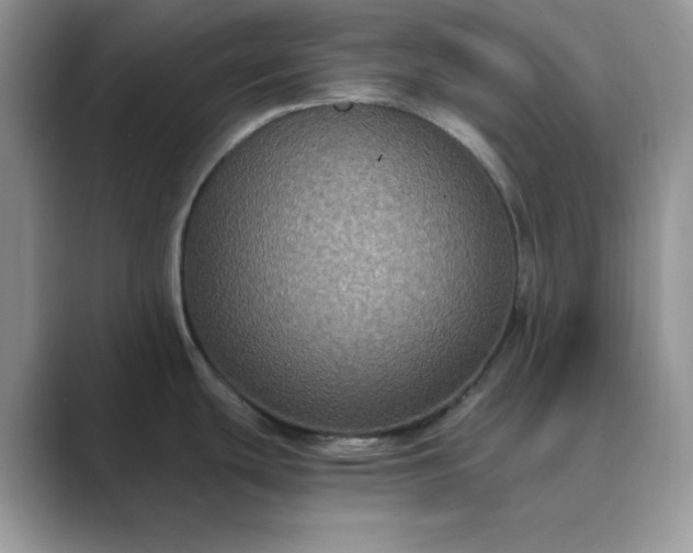 X0000089671439200707051540