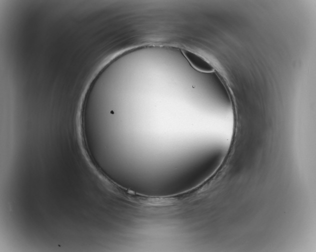 X0000089671440200707051540