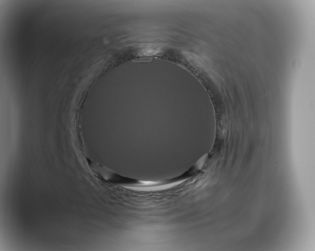 X0000089671441200707051540