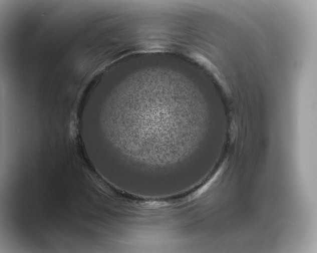 X0000089671449200707051539
