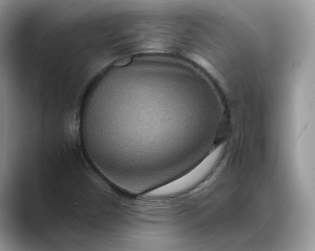 X0000089671450200707051539