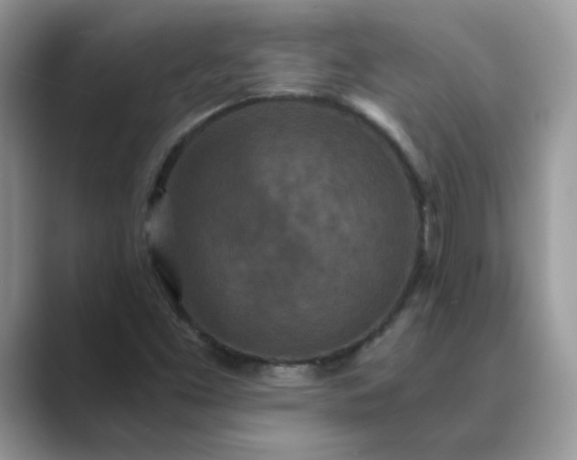 X0000089671453200707051539