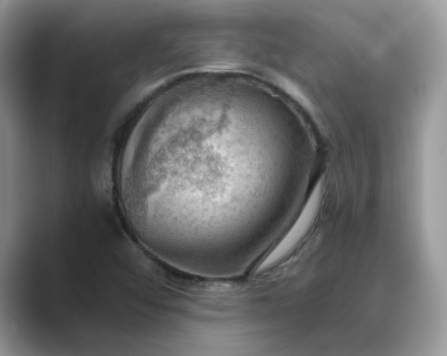 X0000089671456200707051539
