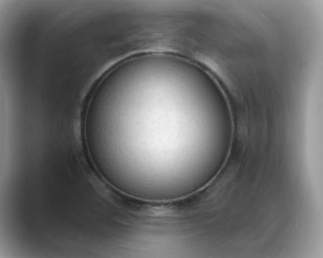 X0000089671460200707051539