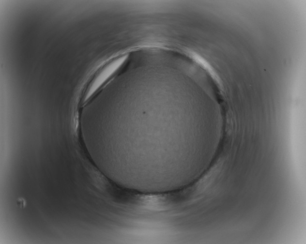 X0000089671461200707051539