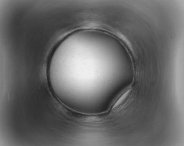 X0000089671464200707051539