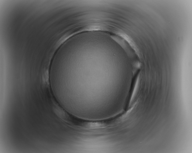 X0000089671465200707051539