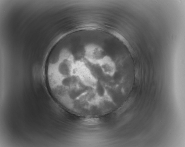 X0000089671466200707051539