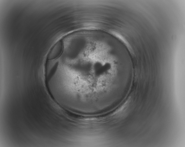 X0000089671467200707051539