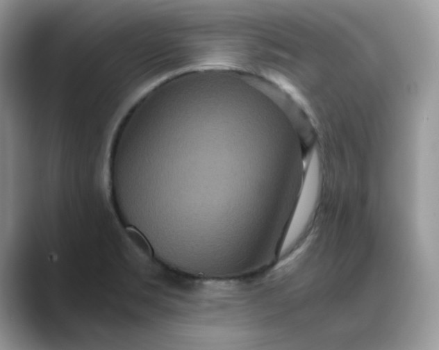 X0000089671469200707051539