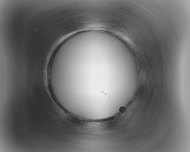 X0000089671470200707051539