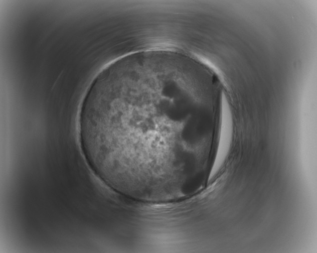 X0000089671471200707051539
