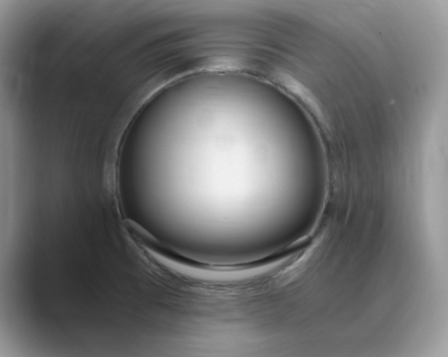 X0000089671473200707051539