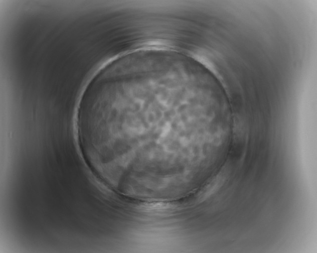 X0000089671474200707051539
