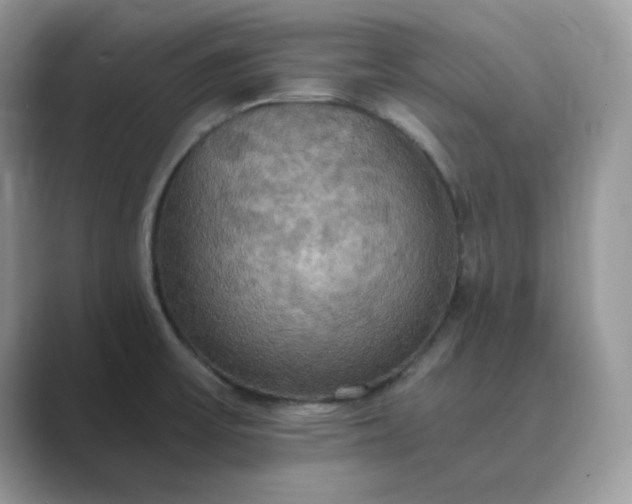X0000089671475200707051539