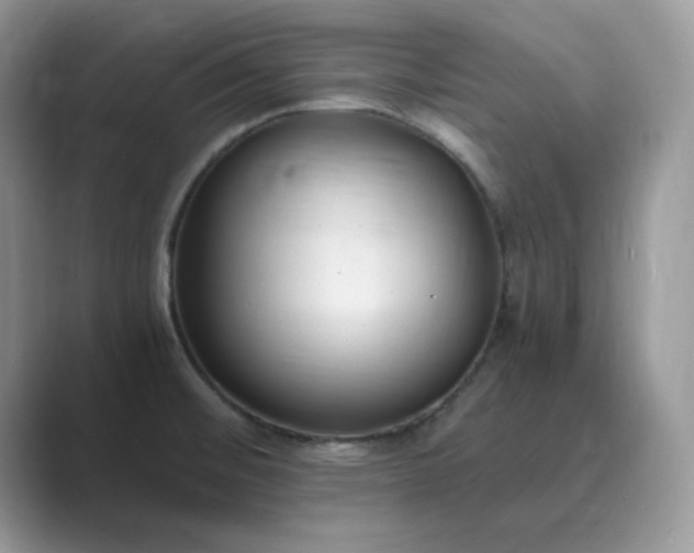 X0000089671476200707051539
