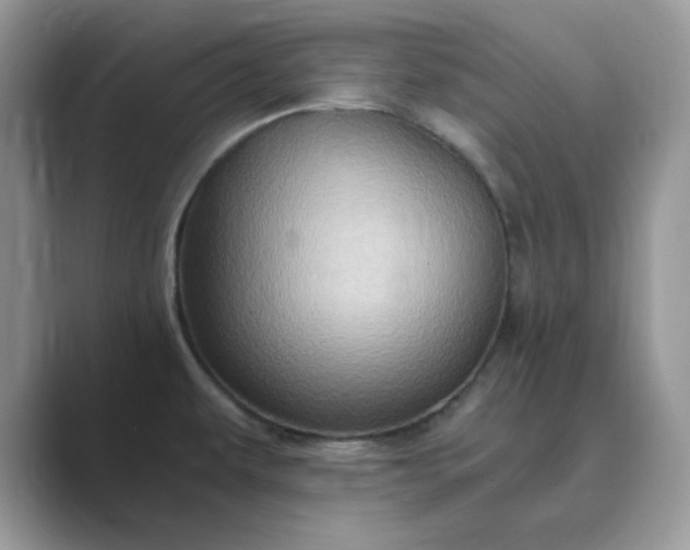 X0000089671479200707051539