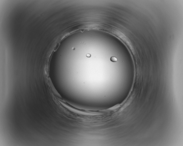 X0000089671481200707051539