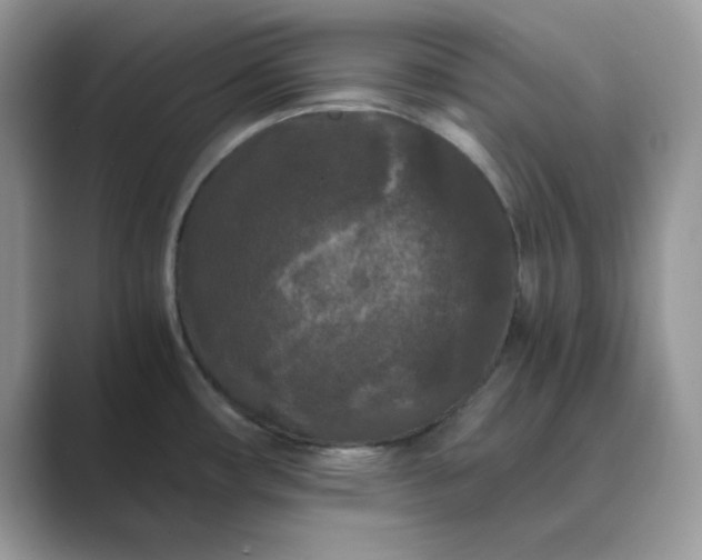 X0000089671482200707051539
