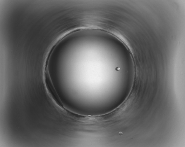 X0000089671485200707051539