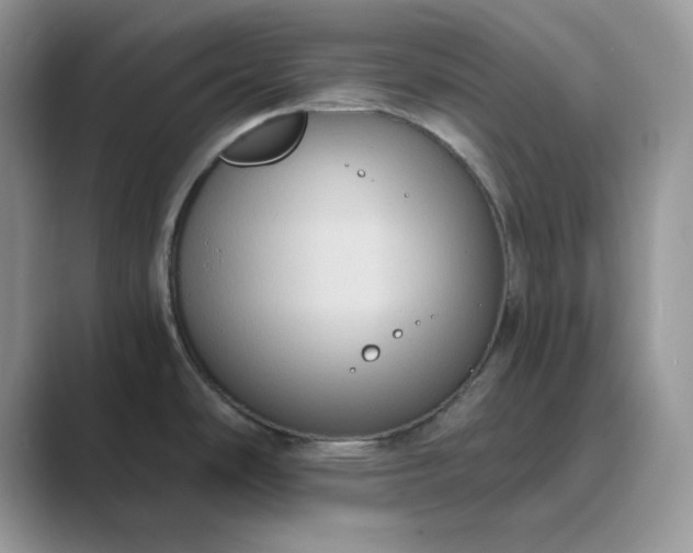 X0000089671486200707051539