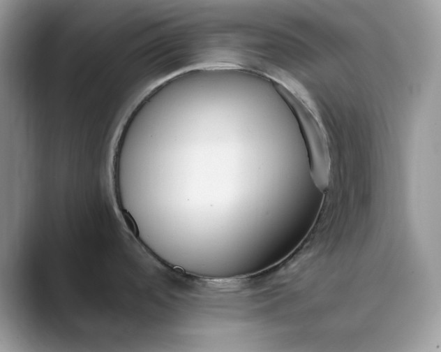 X0000089671488200707051539