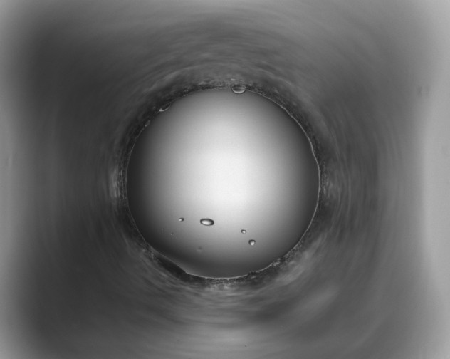 X0000089671490200707051538