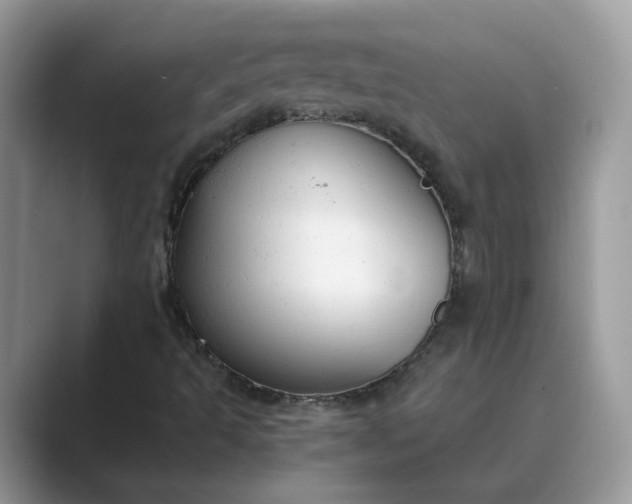 X0000089671493200707051539