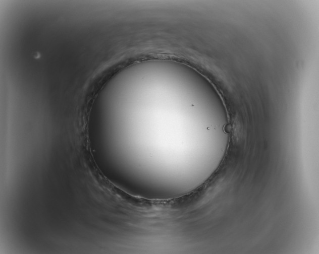 X0000089671494200707051539