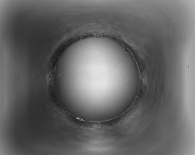 X0000089671495200707051539