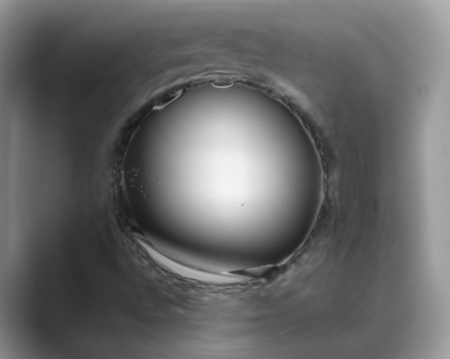 X0000089671496200707051539