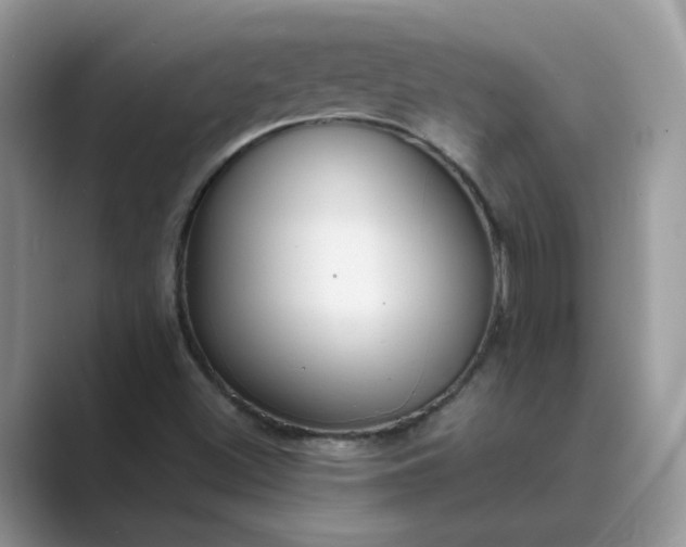 X0000089671500200707051539