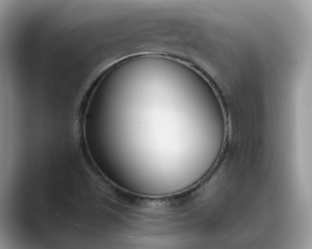 X0000089671501200707051539