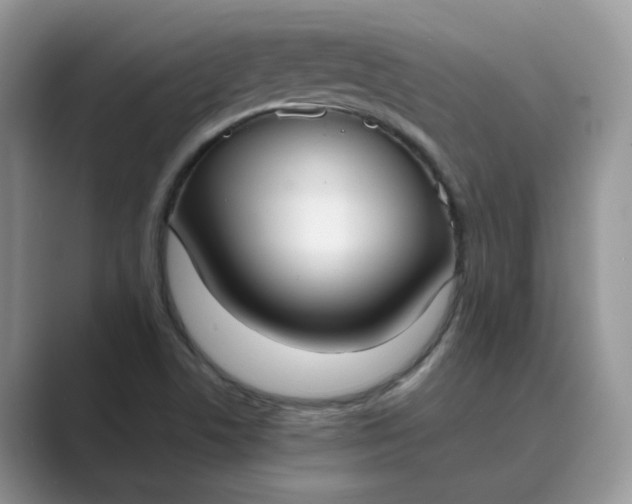X0000089671506200707051539