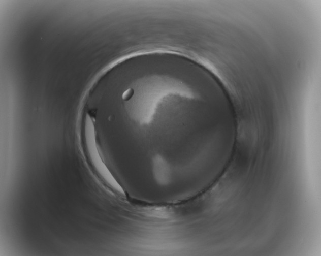 X0000089671508200707051539