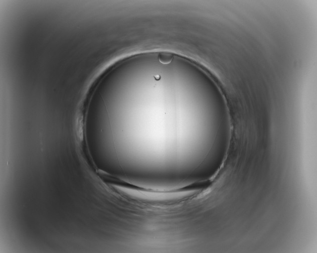X0000089671510200707051539