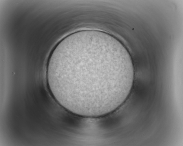 X0000089671514200707051539