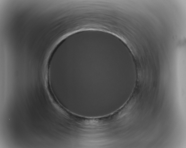 X0000089671515200707051539