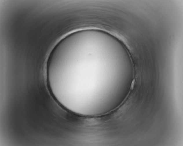 X0000089671516200707051539