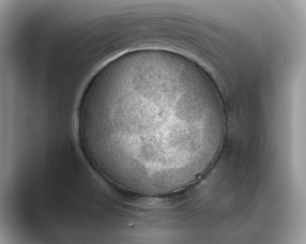 X0000089671517200707051539