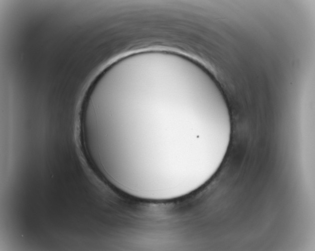 X0000089671518200707051539